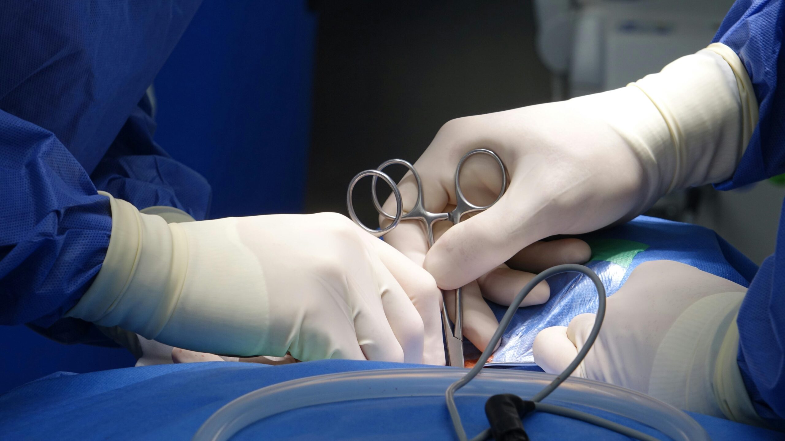 Chronic Kidney Disease (CKD) & Organ Management nutrition